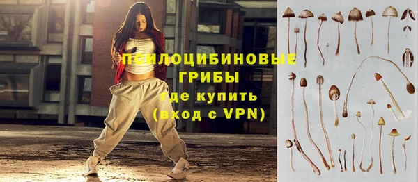 PSILOCYBIN Верхний Тагил