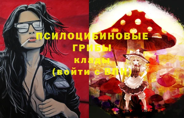 индика Верхнеуральск