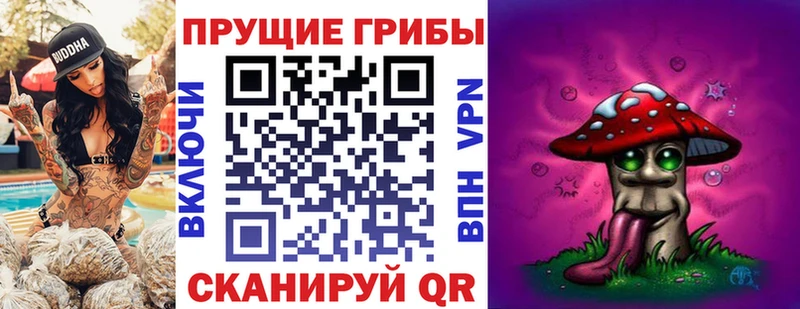 продажа наркотиков KRAKEN ONION Галлюциногенные грибы прущие грибы Гагарин